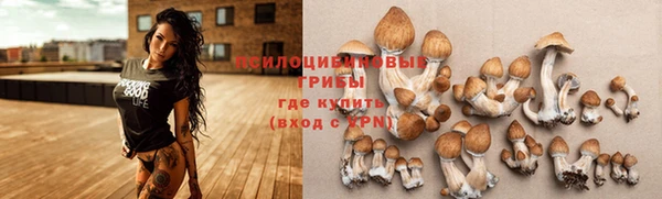 спайс Новодвинск