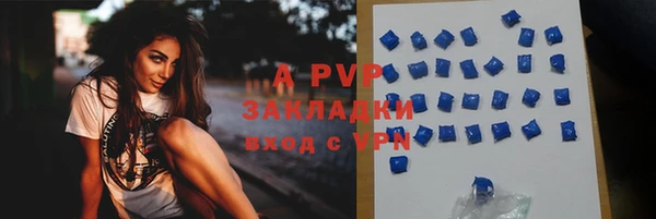 спайс Новодвинск