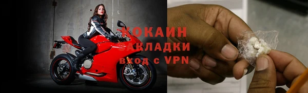 apvp Новозыбков