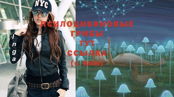 шишки Билибино