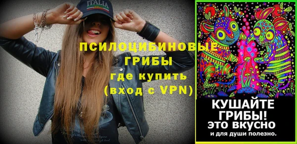 спайс Новодвинск