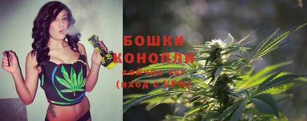соль ск Бикин
