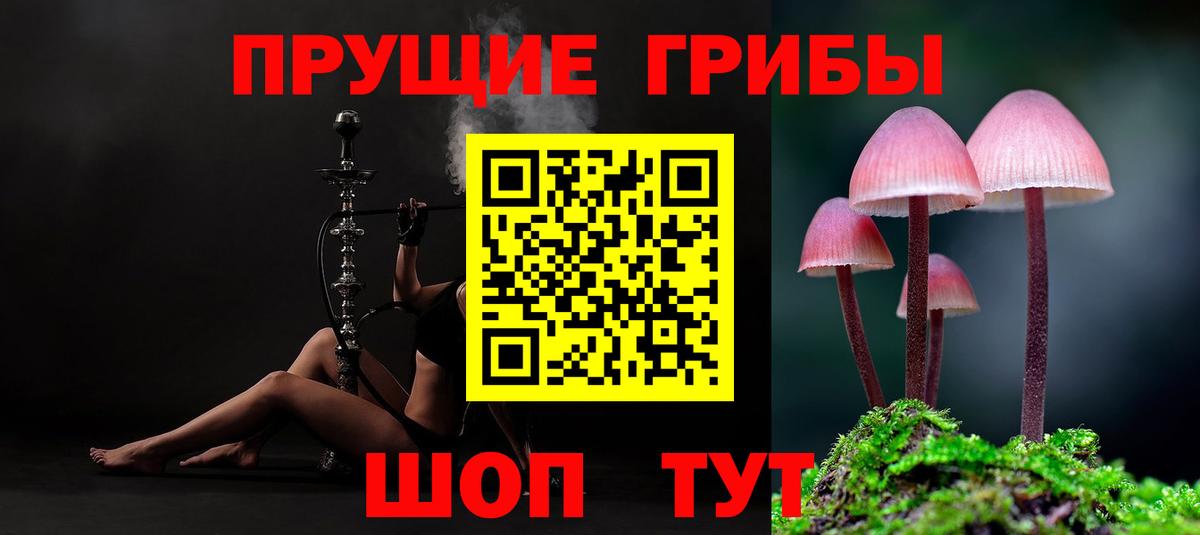 Галлюциногенные грибы прущие грибы  Вход с VPN  Кстово  Галлюциногенные грибы Psilocybine cubensis 