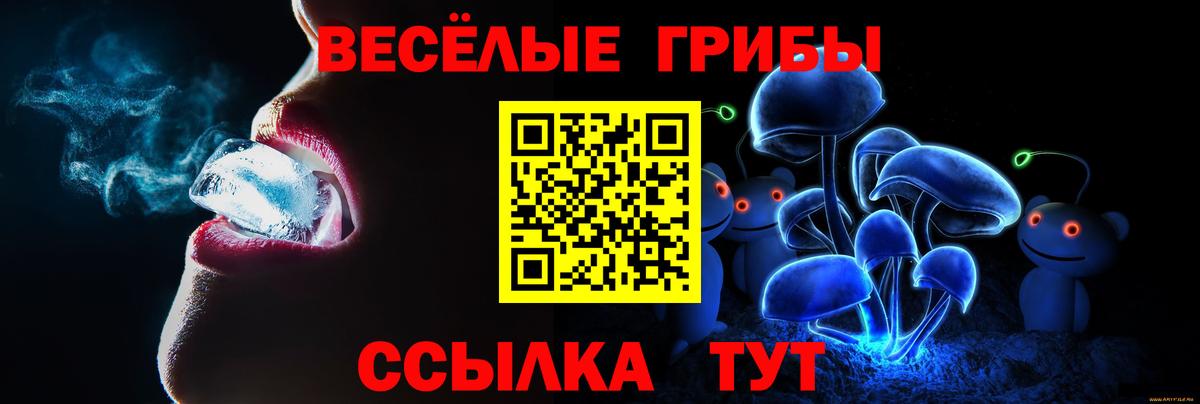 Псилоцибиновые грибы GOLDEN TEACHER Кстово