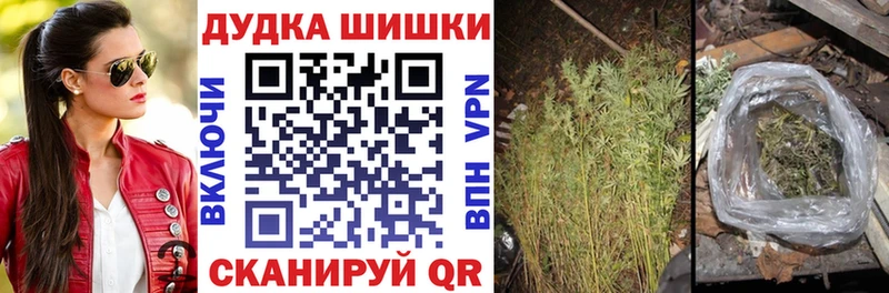 Каннабис ГИДРОПОН Кстово